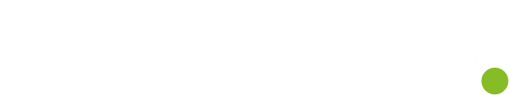 DELOITTE LLC